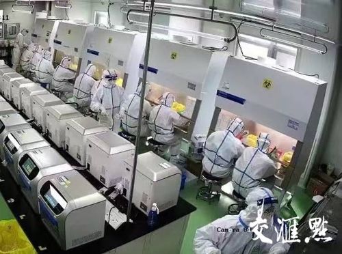 gps轉運箱 核酸檢測小程序 戰(zhàn)疫儀器共享 科技助力江蘇抗疫