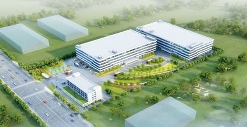 乘勢而上,加壓奮進 今天,4個 補鏈 強鏈 項目在新區落戶 動工