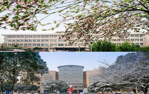 江蘇科技大學(xué)專接本最全解答