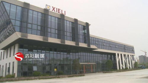 江蘇泗陽協力輕工機械 科技創新驅動企業高質量發展