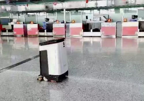 無人跨運車隊,智能紅外體溫熱像儀 上海科技助力復工復產