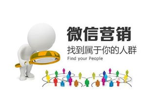 江蘇正規(guī)微信小程序報價 樹先生供應