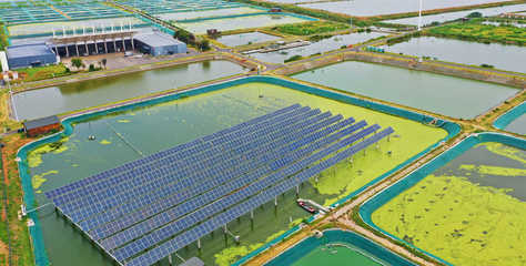 鏡頭丨科技賦能鄉(xiāng)村振興