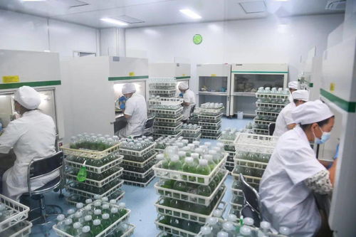 曹路寶深入響水縣開展 兩在兩同 建新功行動時強調 身體走進基層,思想走進群眾,工作走進實際,讓黨旗高高飄揚在鹽阜大地基層一線 項目