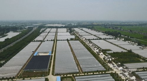 給力 這家機(jī)構(gòu)獲省級(jí)表彰