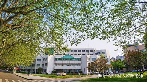 江蘇科技大學專接本怎么樣